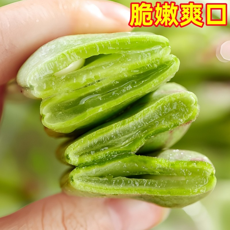 正宗东北油豆角现摘新鲜5斤黑龙江一点红油豆角九月青整箱包邮10,淘宝优惠券,粉丝福利购,淘宝优惠卷