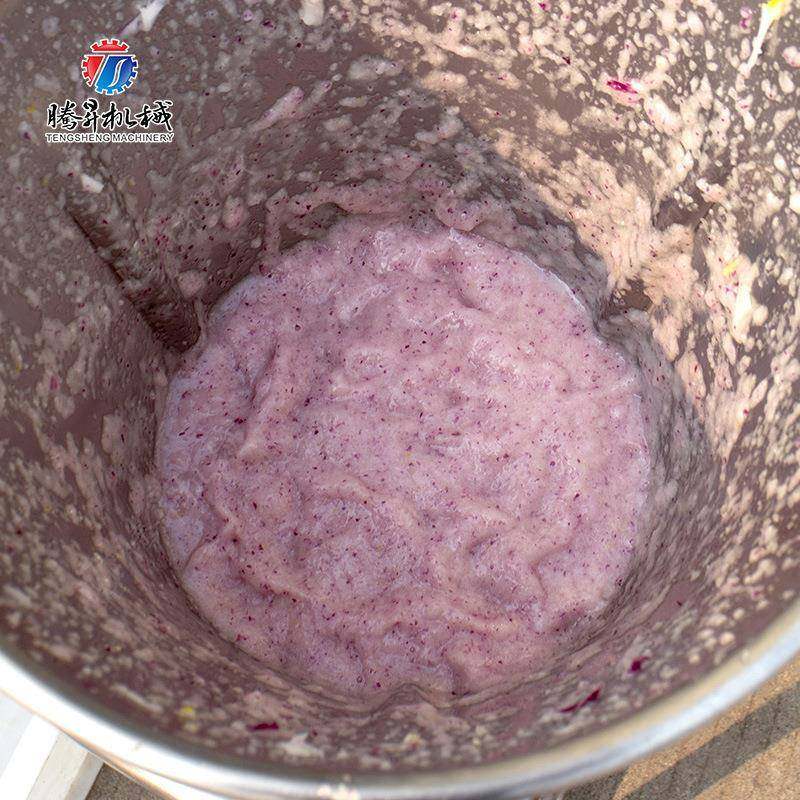 厂家直销大型西瓜榨汁机工厂用果蔬胡萝卜西红柿榨汁机8升容量,淘宝优惠券,粉丝福利购,淘宝优惠卷