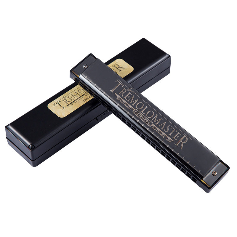 孔声C调口琴24孔复音口琴成人学生演奏儿童初学入门乐器口琴,淘宝优惠券,粉丝福利购,淘宝优惠卷