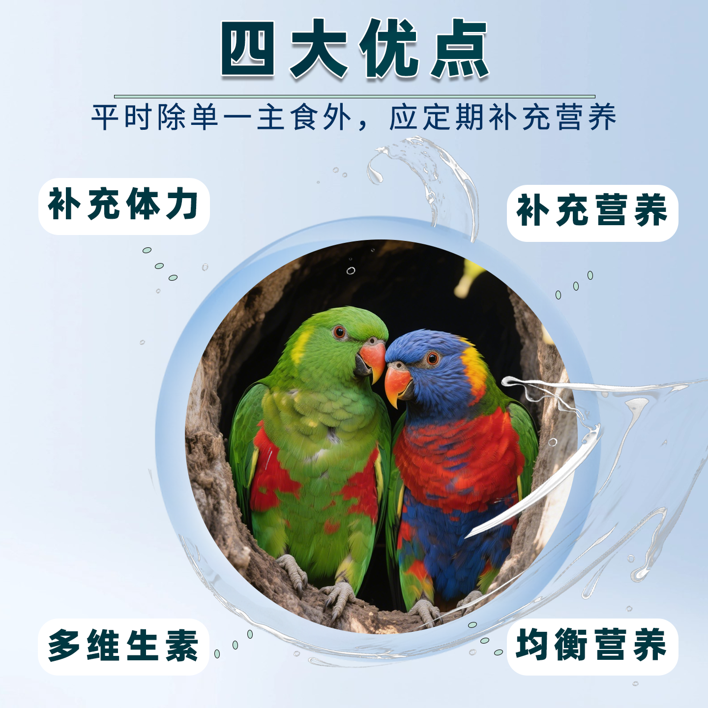 鸟用鹦鹉专用电解质水旋凤虎皮鹦鹉多维生素鸽用营养补充剂鱼肝油,淘宝优惠券,粉丝福利购,淘宝优惠卷