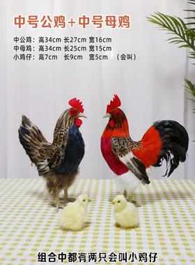 高档仿真公摆会叫打鸣大公鸡玩具家禽动物模件鸡摄影型道具招财装
