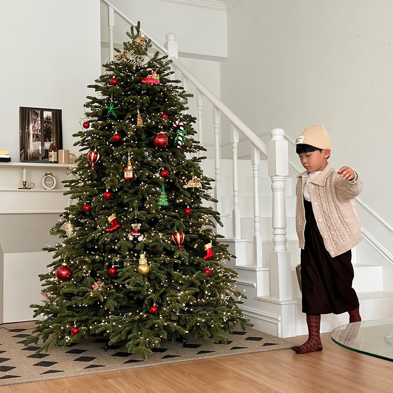 2025圣诞树家用大型仿真ins风圣诞节装饰品纯PE加密圣诞树diy套餐 - 图1