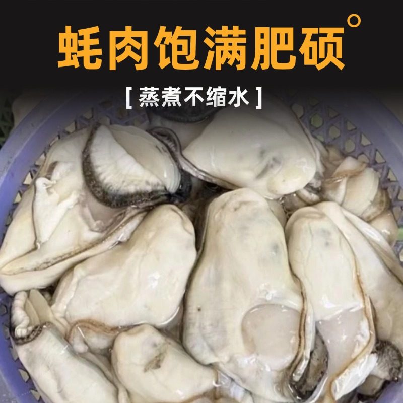 鲜活生蚝肉现剥生蚝新鲜特大牡蛎肉去壳纯蚝仔肉蛎蝗海鲜水产顺丰,淘宝优惠券,粉丝福利购,淘宝优惠卷