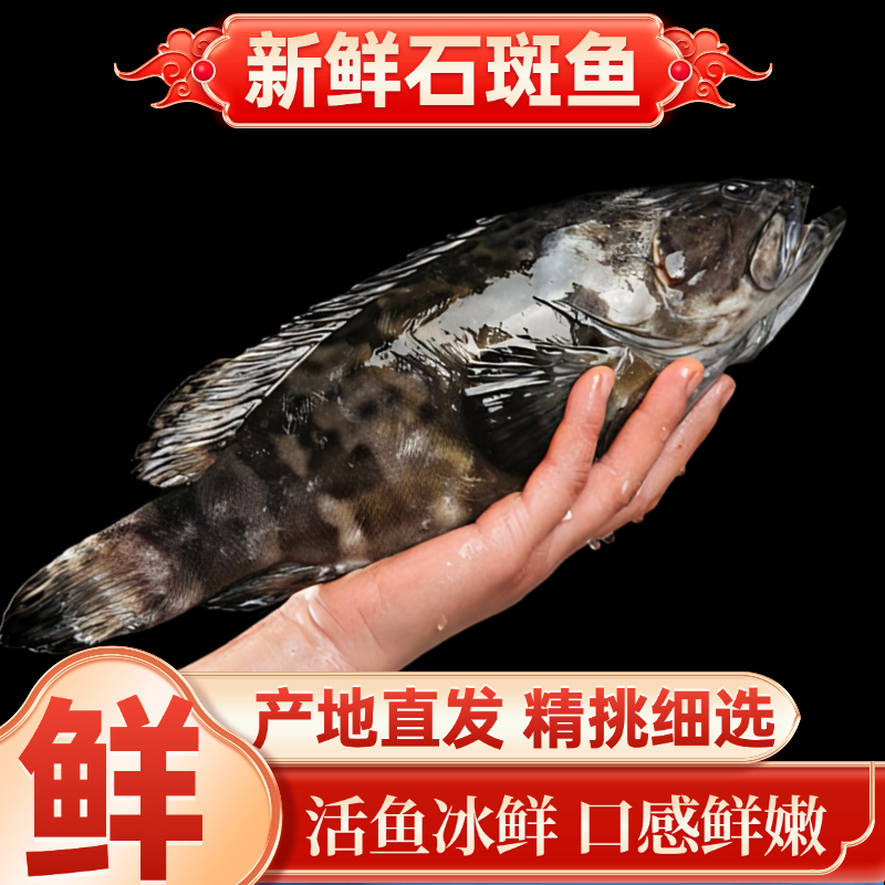 石斑鱼超大鲜活速冻深海鱼龙胆老虎斑龙趸珍珠斑海鲜水产石头斑,淘宝优惠券,粉丝福利购,淘宝优惠卷