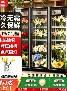 扬子YANGZI鲜花保鲜柜花店专用