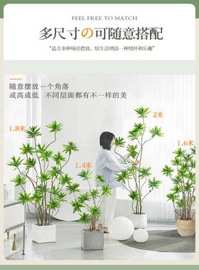 摆件家居饰品轻奢高档装饰仿真绿植百合竹客厅电视柜大型落地摆件