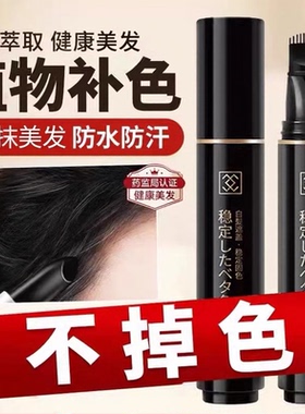 韩国进口一次性美发笔发根补色修饰遮白纯植物美发不掉色盖白神器