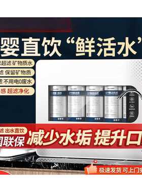 诗蒂伦净水器家用直饮滤厨房自来水过滤除水垢前置过滤器滤水器