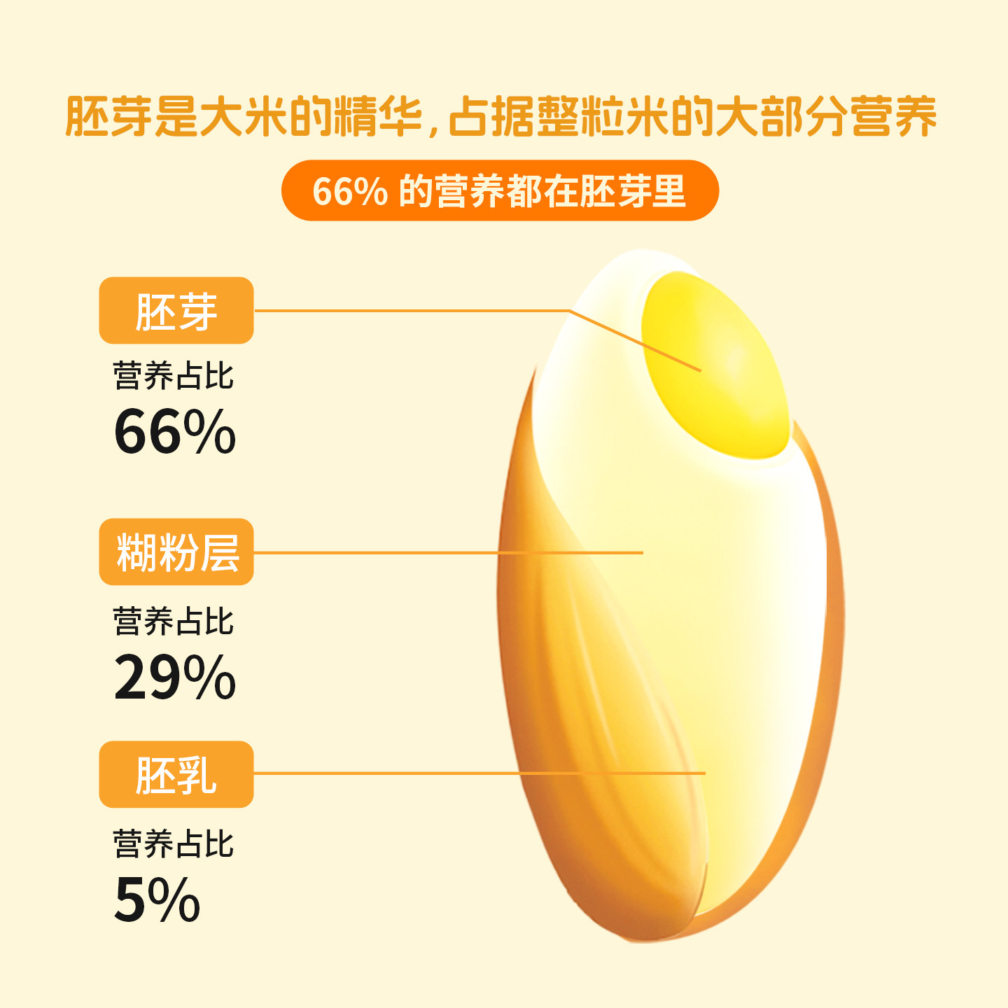 北稻芽米有机胚芽米450g瓶装宝宝营养米糊煮粥米煮饭东北大米谷物,淘宝优惠券,粉丝福利购,淘宝优惠卷