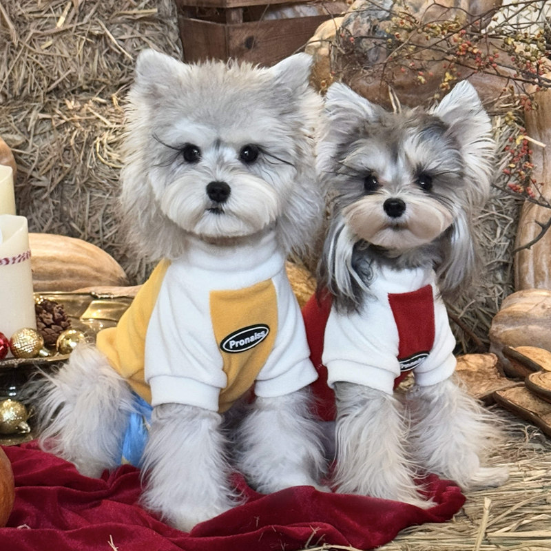 猫咪冬季衣服摇粒绒加厚保暖卫衣德文蓝猫羊羔绒防掉毛家居服饰,淘宝优惠券,粉丝福利购,淘宝优惠卷