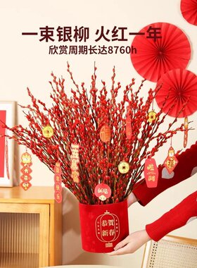 银柳真花鲜枝干花摆件室内客厅鲜花绿植新年招财年宵花卉植物盆栽