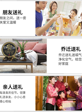 搬家乔迁新居礼物新房电视柜新中式摆件工艺品家居客厅装饰品实用