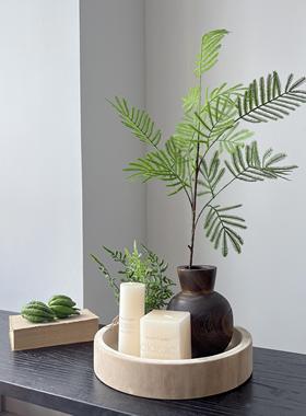 侘寂风绿植软装造景套餐木质托盘花盆桌面装饰摆件玄关圆形果盘