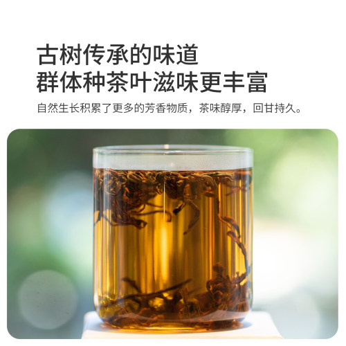 晓三月玫瑰红茶花茶高山新茶叶非遗窨制自己喝女自饮春茶口粮100g - 图1