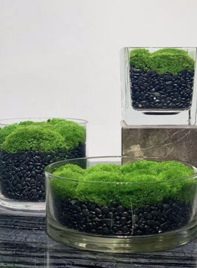 矮胖大口径花瓶玻璃客厅餐桌绿萝睡莲盆创意加厚婚庆桌面装饰摆件