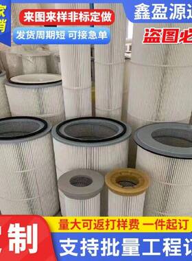 烟气除尘箱过滤器电厂用聚酯纤维滤芯粉末粉尘过滤筒效过滤网