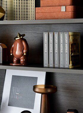 现代简约样板间书房摆件书柜软z装饰品组合套装客厅展厅道具仿真