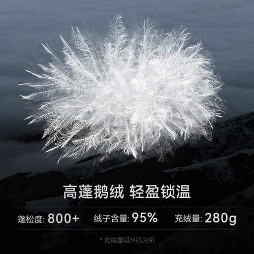 凯乐石中性长款羽绒服保暖透气防钻绒800蓬鹅绒户外滑雪外套女款 - 图3