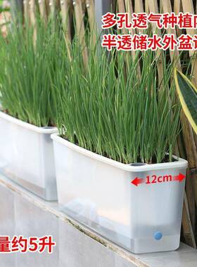 窄边长条形花盆自动吸水懒人长方形花盆加厚塑料盆阳台种菜盆