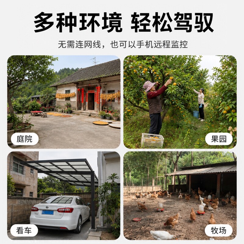 图 4