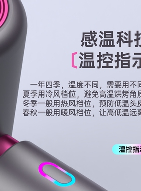 15S速干】大风力恒温护发吹风机
