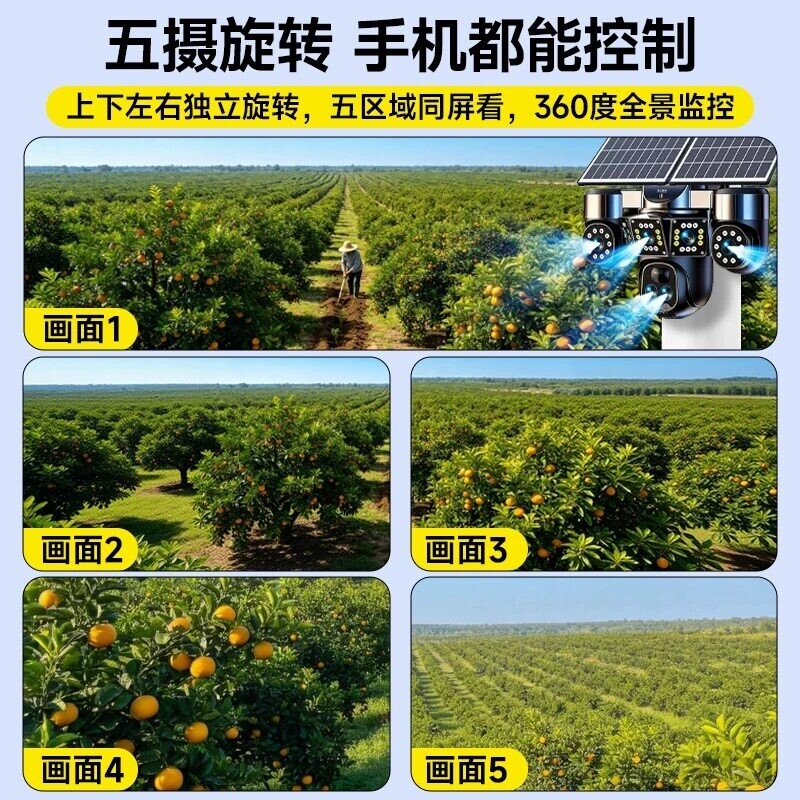 图 3