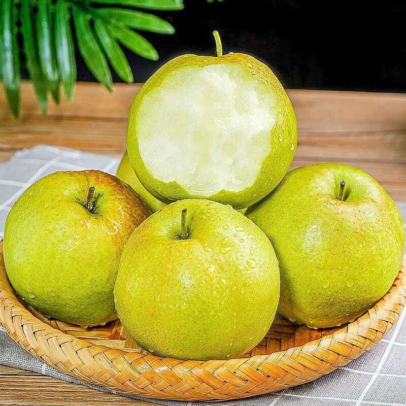 精品大果！山西玉露香梨4.5斤