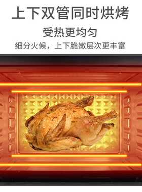 9L/12L/22L/32L/48L/60L 电烤箱多功能烘焙空气烤箱Electric oven