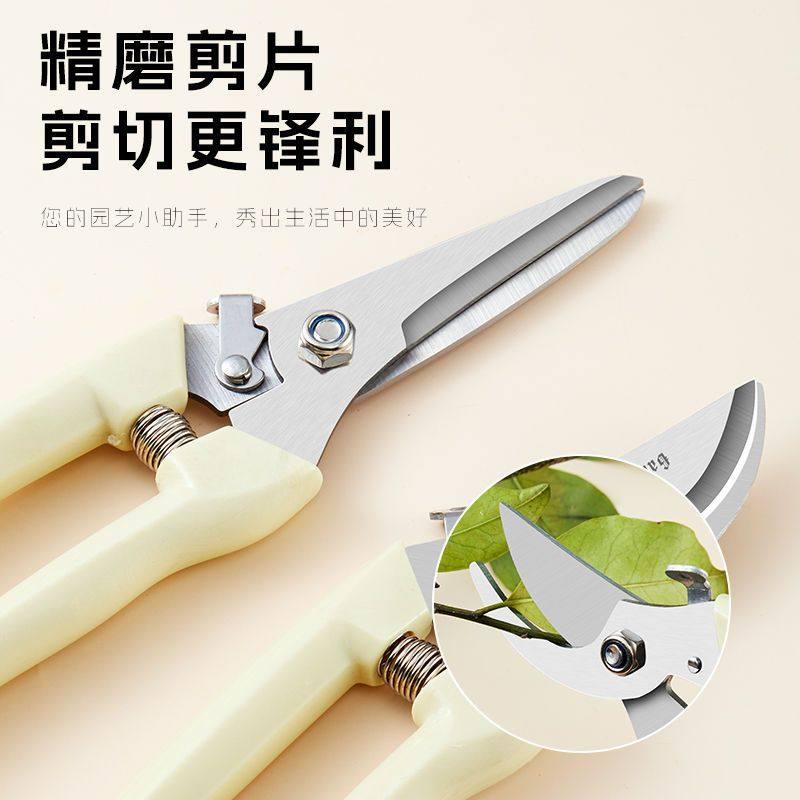 修枝剪果枝修剪刀盘栽剪园艺剪刀花艺果树园林摘果粗枝剪锋利省力,淘宝优惠券,粉丝福利购,淘宝优惠卷