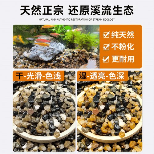 免洗鱼缸底砂溪流石鹅卵石原生水族鱼缸底部火山石装饰五彩石豆石 - 图1