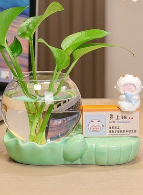 优选治愈系水养绿萝干花装饰品摆件儿童房间布置客厅插花桌面创意