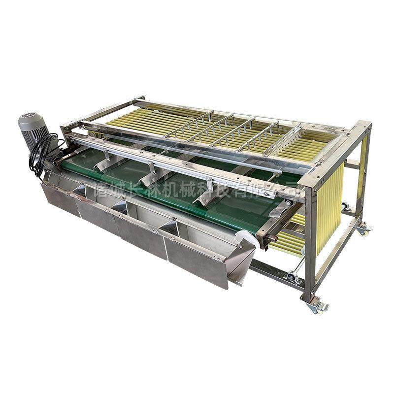 圣女果李子分选机轨道式坚果分级设备金桔樱桃脐橙分拣机,淘宝优惠券,粉丝福利购,淘宝优惠卷