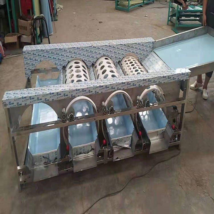 柿子选果机大蒜分级机西红柿 青柑筛选机 滚桶式果蔬分选机,淘宝优惠券,粉丝福利购,淘宝优惠卷