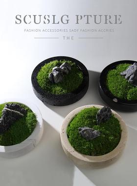 样板间售楼部洽谈桌装饰花艺书房书架卧室床头柜成品花艺绿植摆件