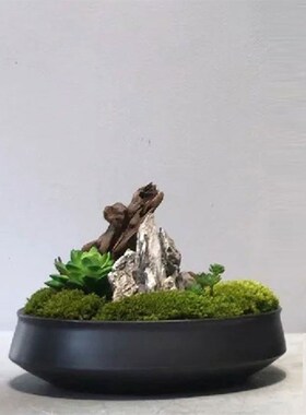 中式清新现代仿真苔m藓文竹花艺套装售楼部会所洽谈桌茶几软装摆
