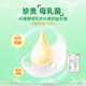 【活动】啵啵熊益生菌儿童肠道双歧杆菌益生元送婴幼儿营养补充品