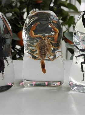 人工琥珀小摆件昆虫标本天牛蚂蚱 蜈蚣 蝉 蟑螂螃蟹书镇学生礼品