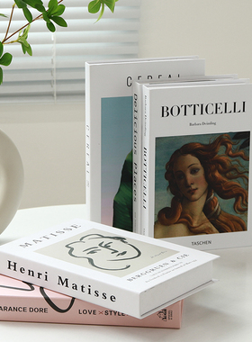 优选现代简约仿真书假书摆件玄关酒柜餐边柜客厅家居软装办公室装