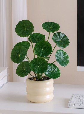优选仿真绿植摆件盆栽造景拍摄道具客厅电视柜茶几餐桌工位装饰假