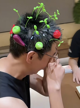 小草发夹仿真水果蔬菜植物发饰
