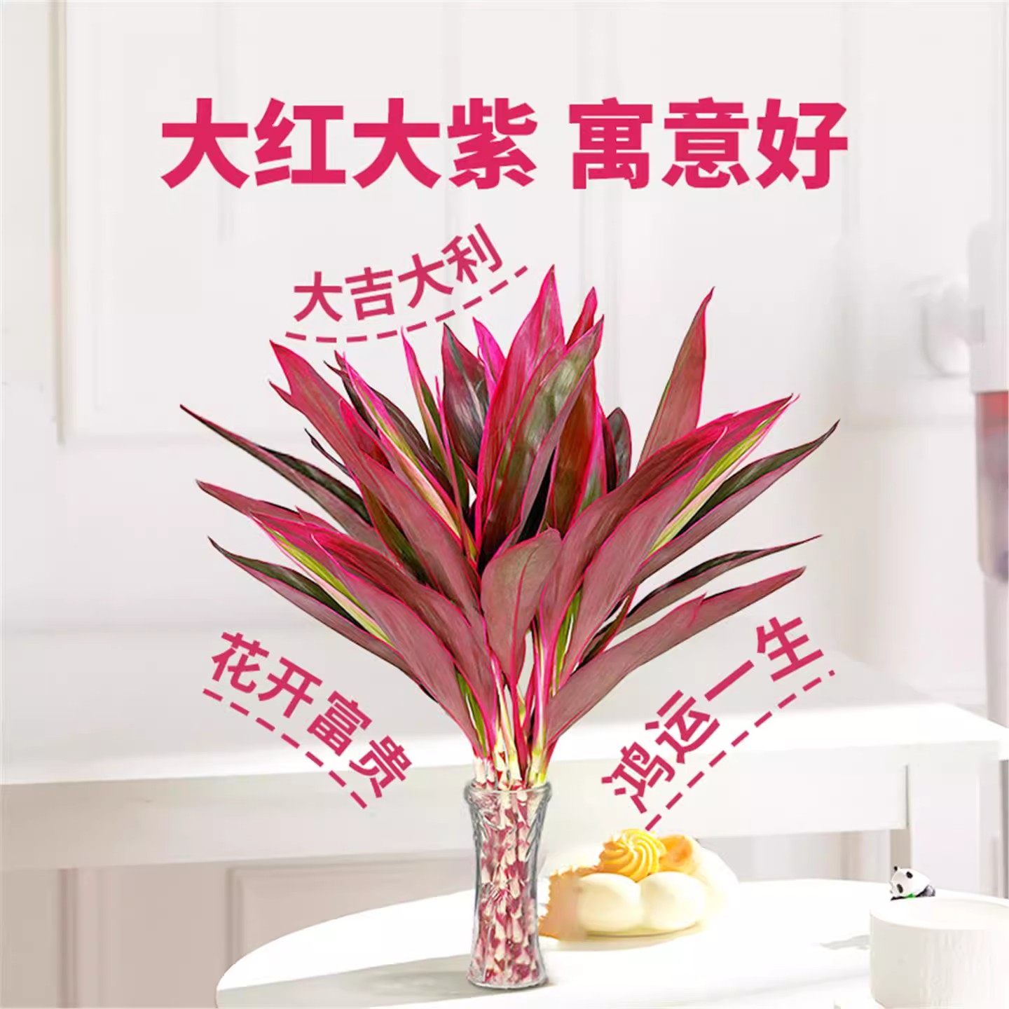 带根紫竹鸿运当头富贵竹水培绿植物盆栽粗杆客厅招财竹子室内花卉,淘宝优惠券,粉丝福利购,淘宝优惠卷