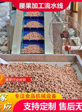 工厂用果蔬食品清洗风干线杏仁清洗设备花生米清洗加工生产风干线