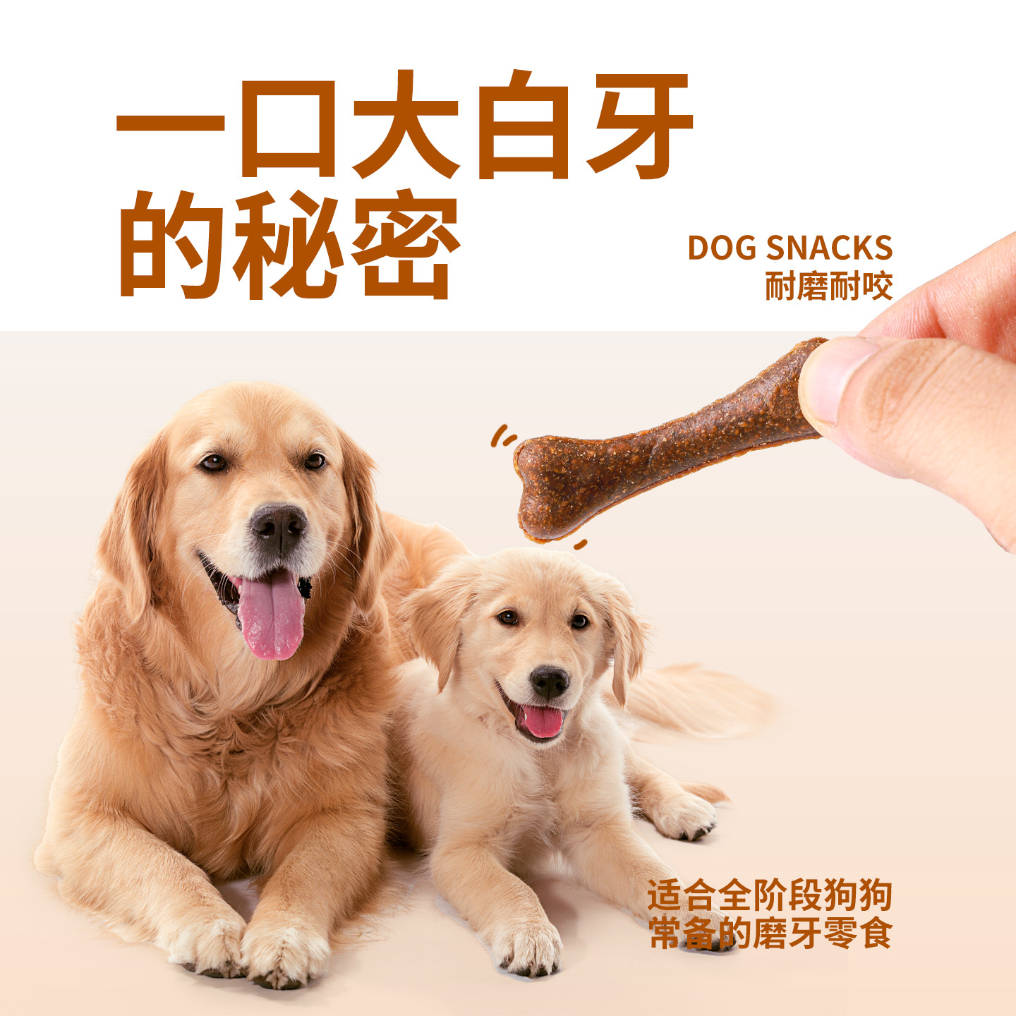 狗狗磨牙棒零食大小型幼犬骨头形洁训练奖励耐齿咬泰迪宠物零食,淘宝优惠券,粉丝福利购,淘宝优惠卷