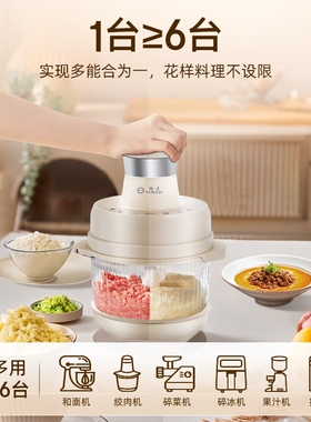 扬子家用全自动小型绞肉和面机