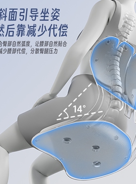 OES护腰坐垫靠背人体工学坐姿椅