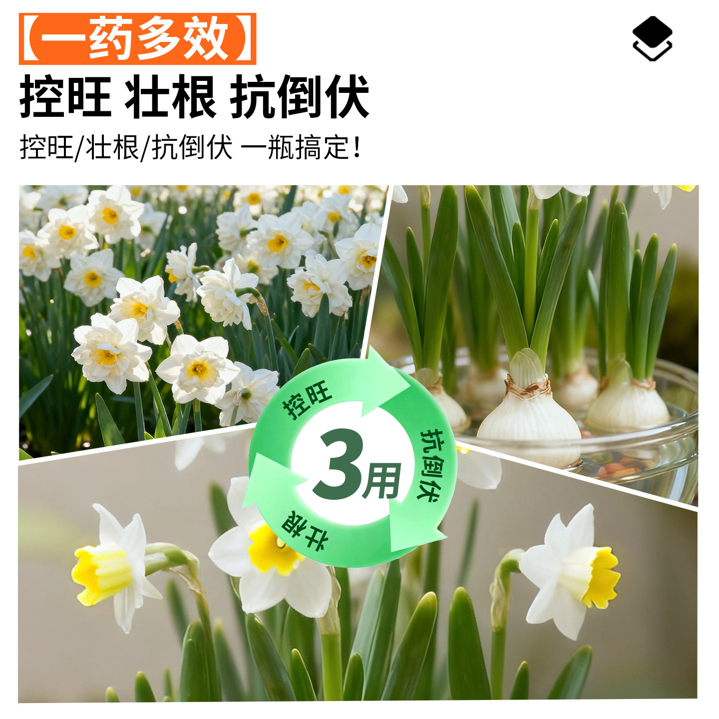 矮壮素花卉专用国光抑灵水仙花矮胖素蔬菜油菜植物多肉控梢调节剂,淘宝优惠券,粉丝福利购,淘宝优惠卷