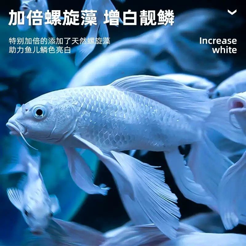 沃韦朗蝴蝶鲤专用鱼粮下沉上浮型鱼饲料龙凤锦鲤小颗粒观赏鱼食,淘宝优惠券,粉丝福利购,淘宝优惠卷