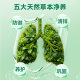 Helicon Australian quercetin ປົກປ້ອງສຸຂະພາບຂອງລະບົບຫາຍໃຈ