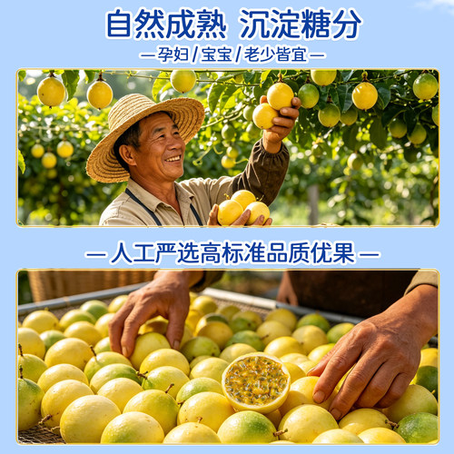 橙先森广西黄金百香果钦蜜9号原浆3斤整箱果子新鲜水果当季现摘-图3