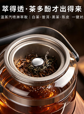 纯钛电热水壶智能蒸汽喷淋萃茶机
